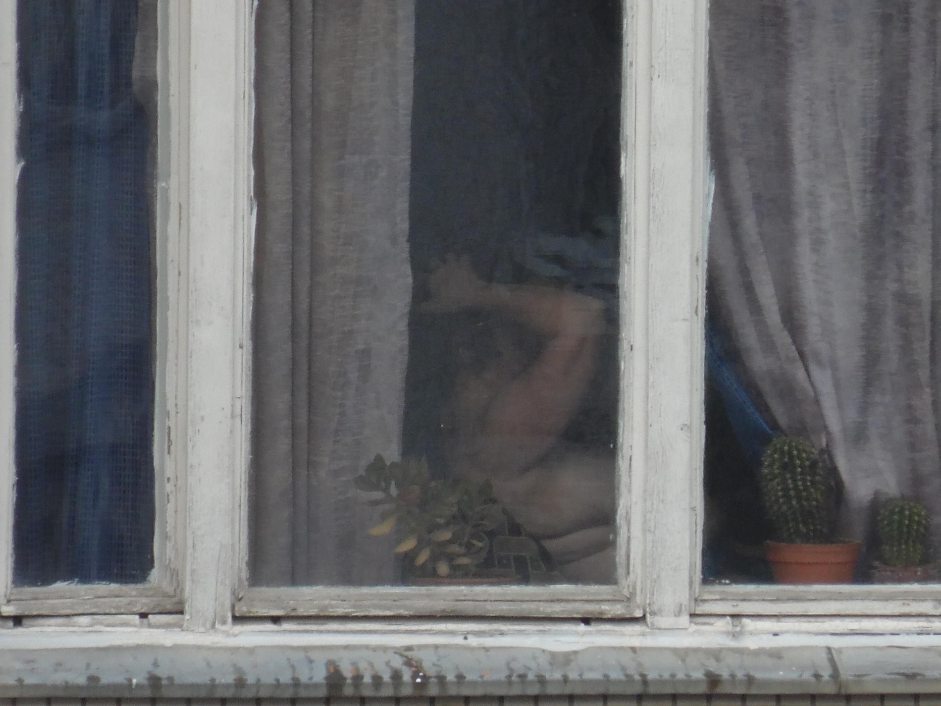 подглядывать в окна за голыми девками фото 78
