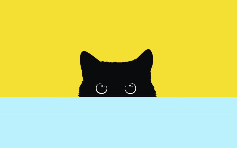 Кот на желтом фоне