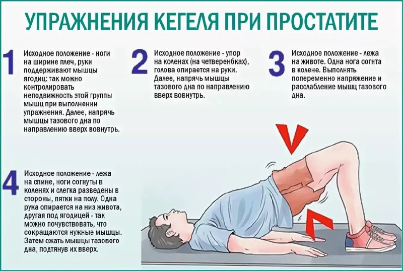 Гимнастика при простатите комплекс упражнений кегеля