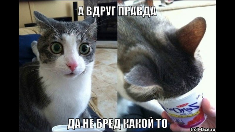 Да не бред какой-то