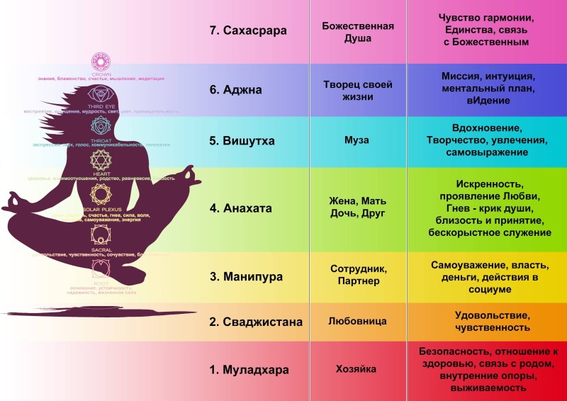 Минималистичные котики