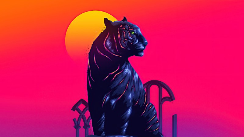Кот на мониторе