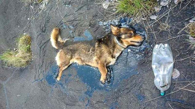 Бумажный самолетик