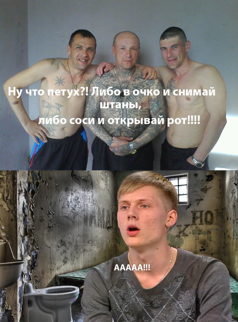 Ирина сычёва и Лев Каменецкий