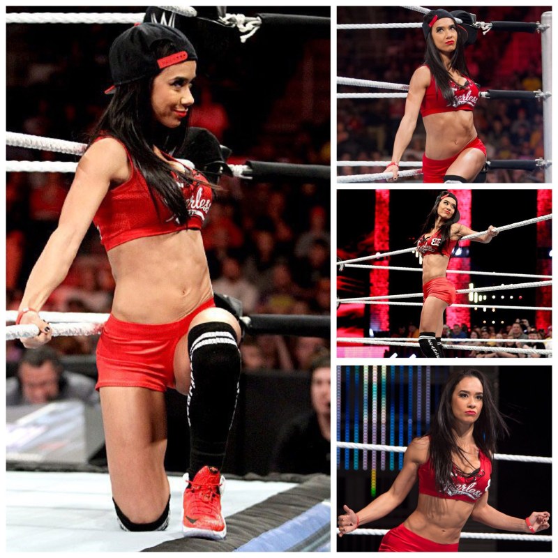 WWE AJ Lee 18