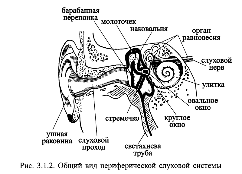 Цитаты про ванну
