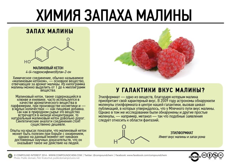 Красивый трах с красоткой