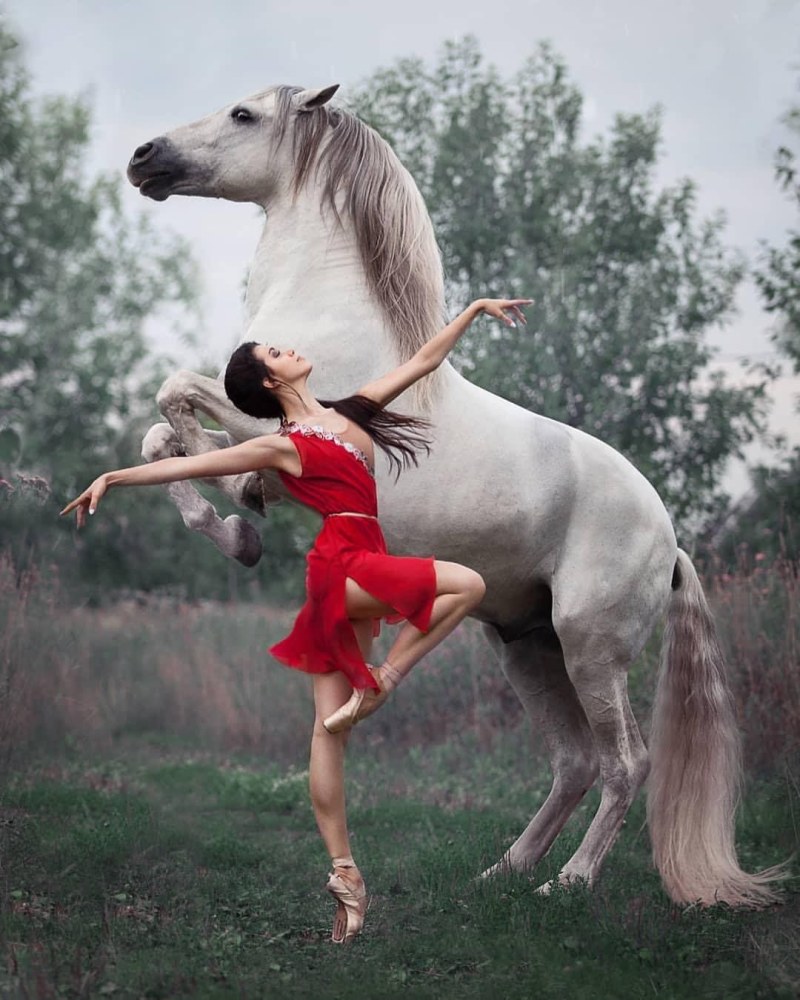 Красивая фотосессия с лошадью