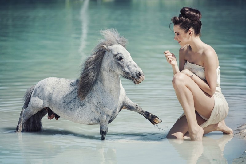 Фотосессия с лошадью в воде