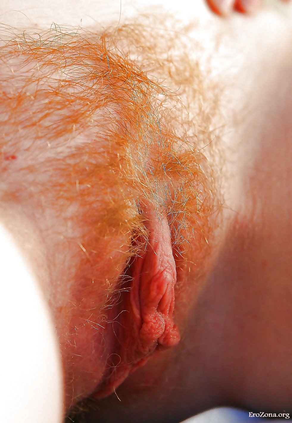 Mature women with unshaven Red pubis minet