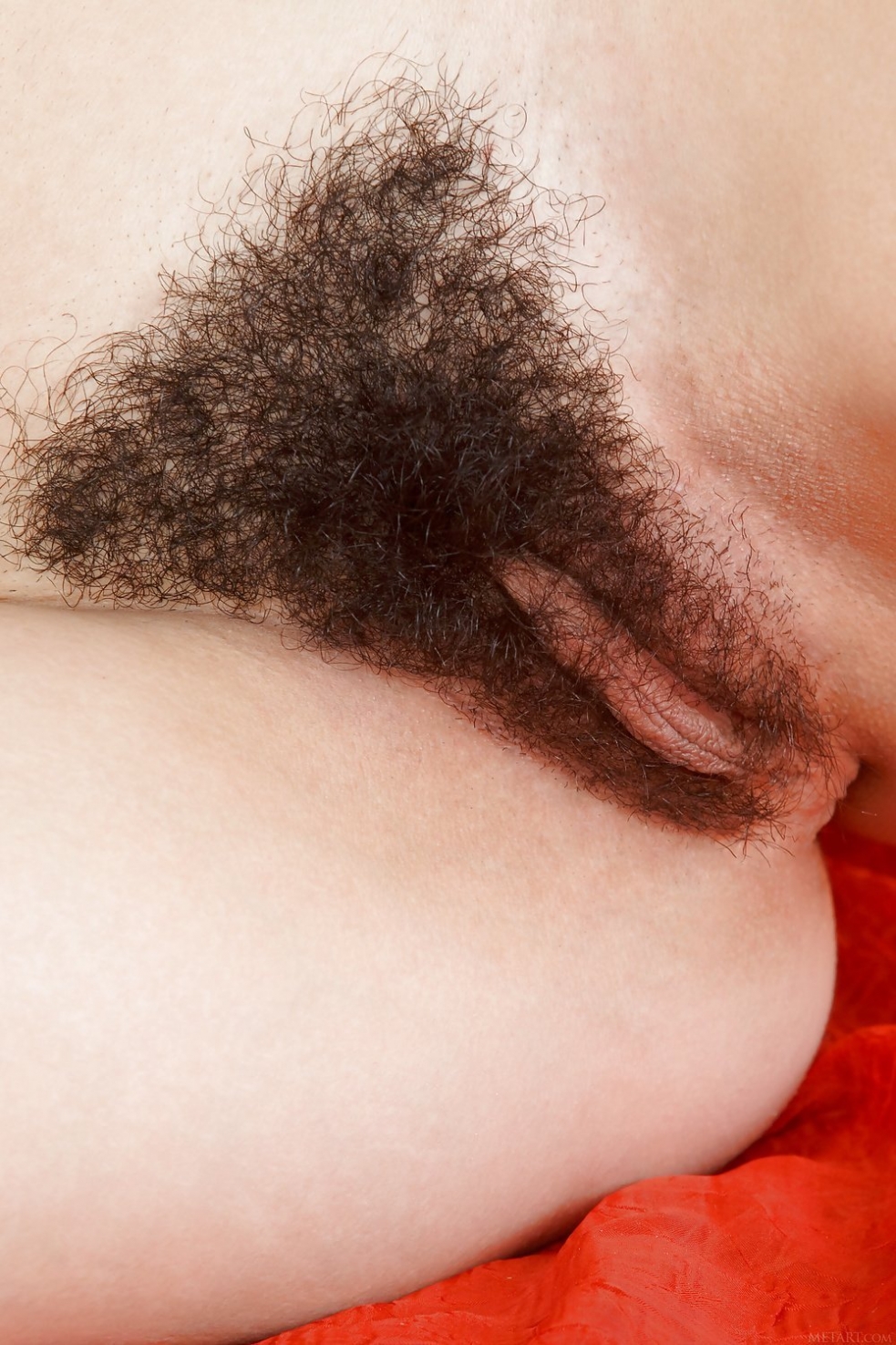 Пуси Липс спред. АТК hairy pussy