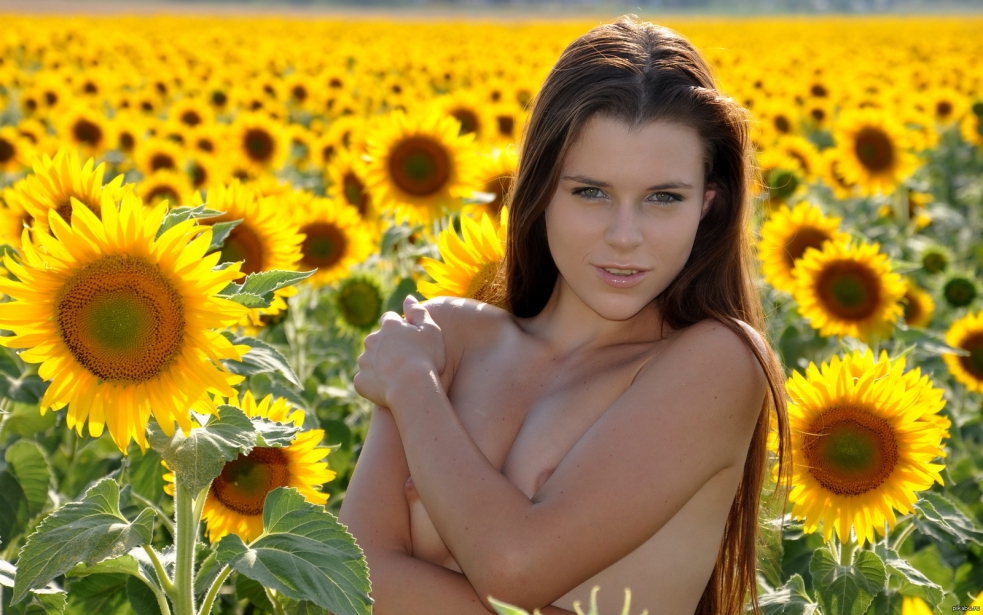 Эротическая фотосессия в подсолнухах