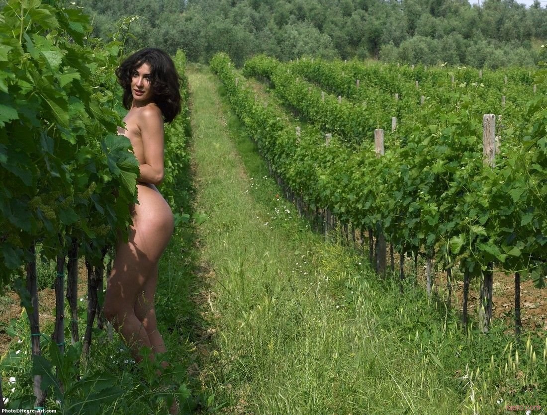 Итальянский фильм в винограднике - Релевантные порно видео (7509 видео)
