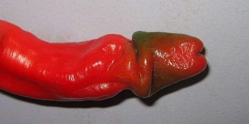Перец член