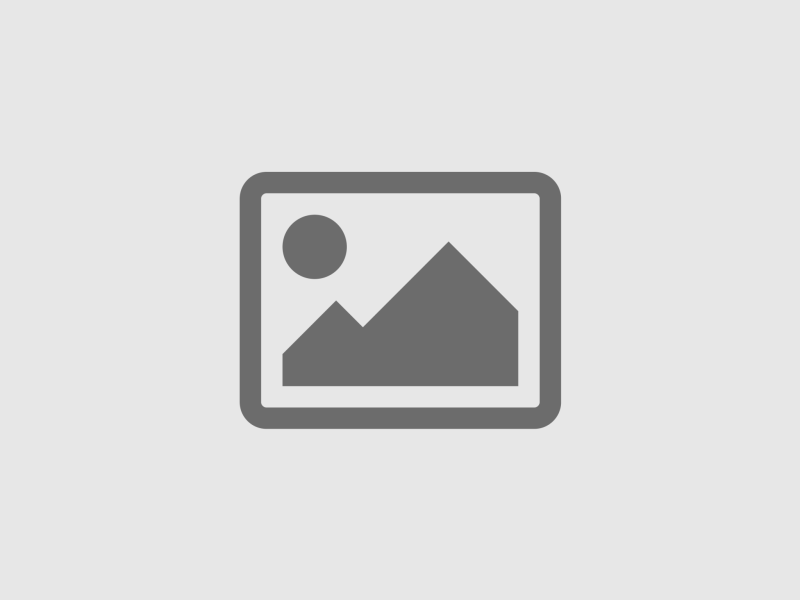 Miele edw8303