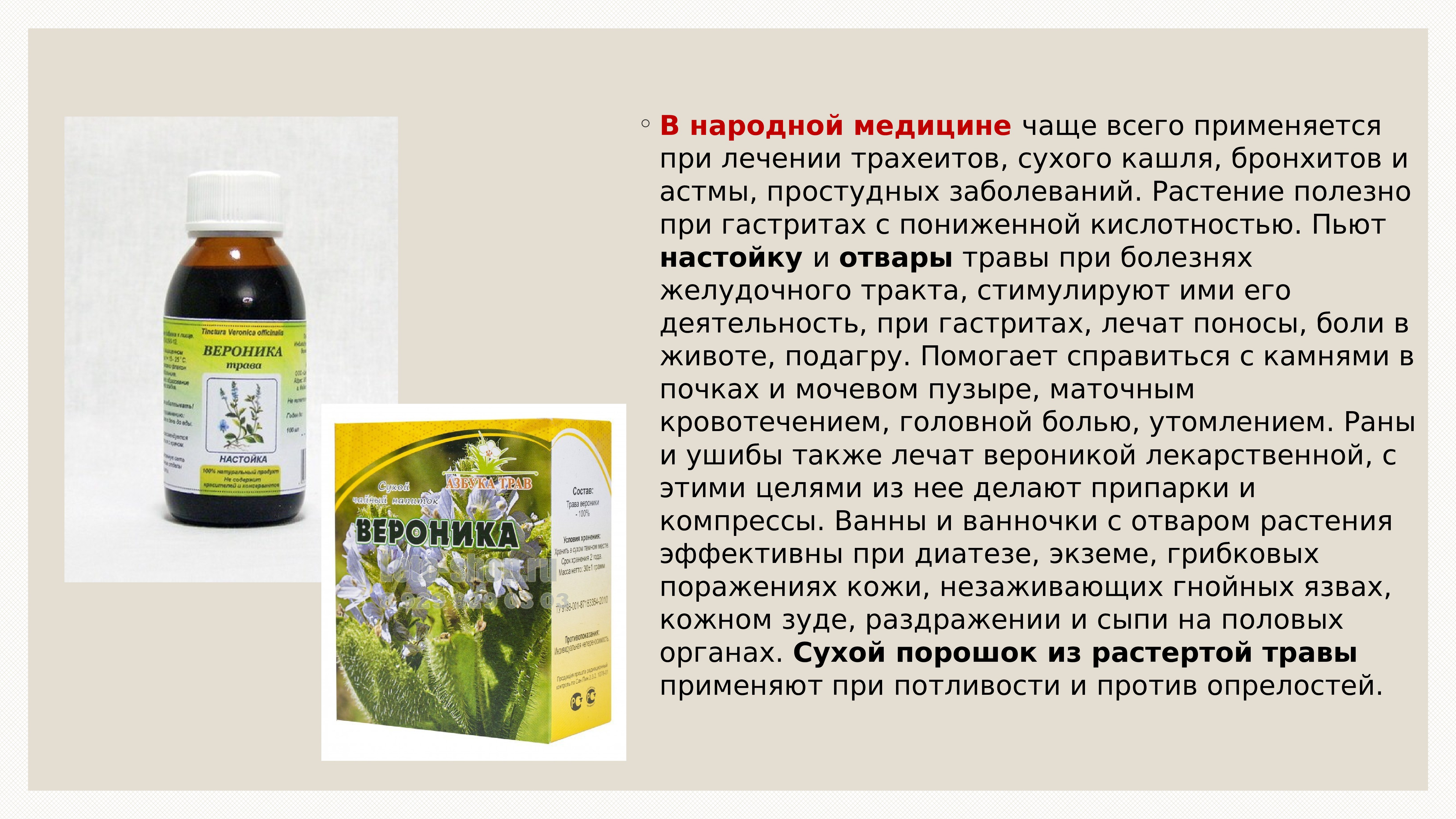 Траву пить от кашля. Лекарственные растения применяемые при трахеите. Травяные настои при гастрите. Растение помогающие при кашле. Растительные препараты при гастрите.