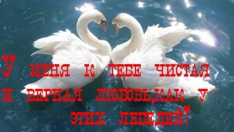 Страсть связанные