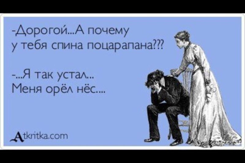 Лариса Алексеенко