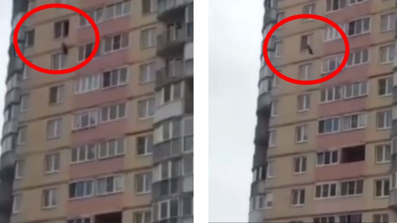 Ласки под одеялом