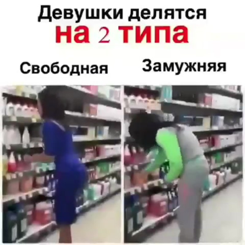 Девушки делятся на три вида