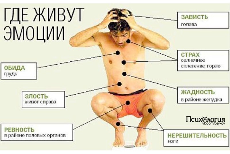 Чеченский депутат оргия