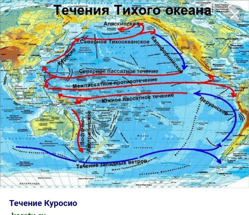 К концам рычага на расстояниях 19 и 31 от его опоры привязали 2 груза