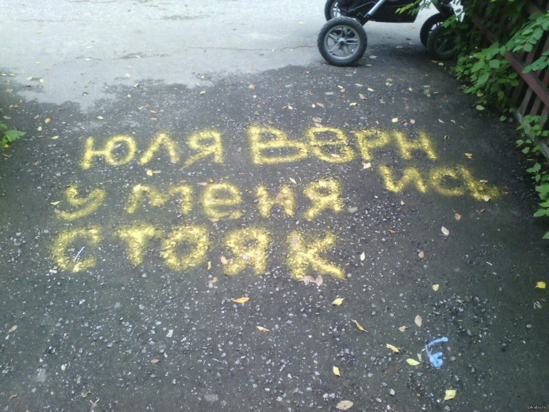 Юлия Франц универ новая общага