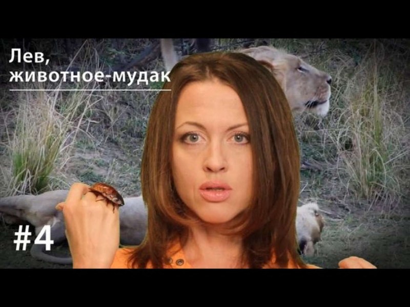Евгения Тимонова секси