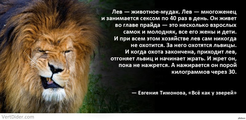 Цитаты про Львов