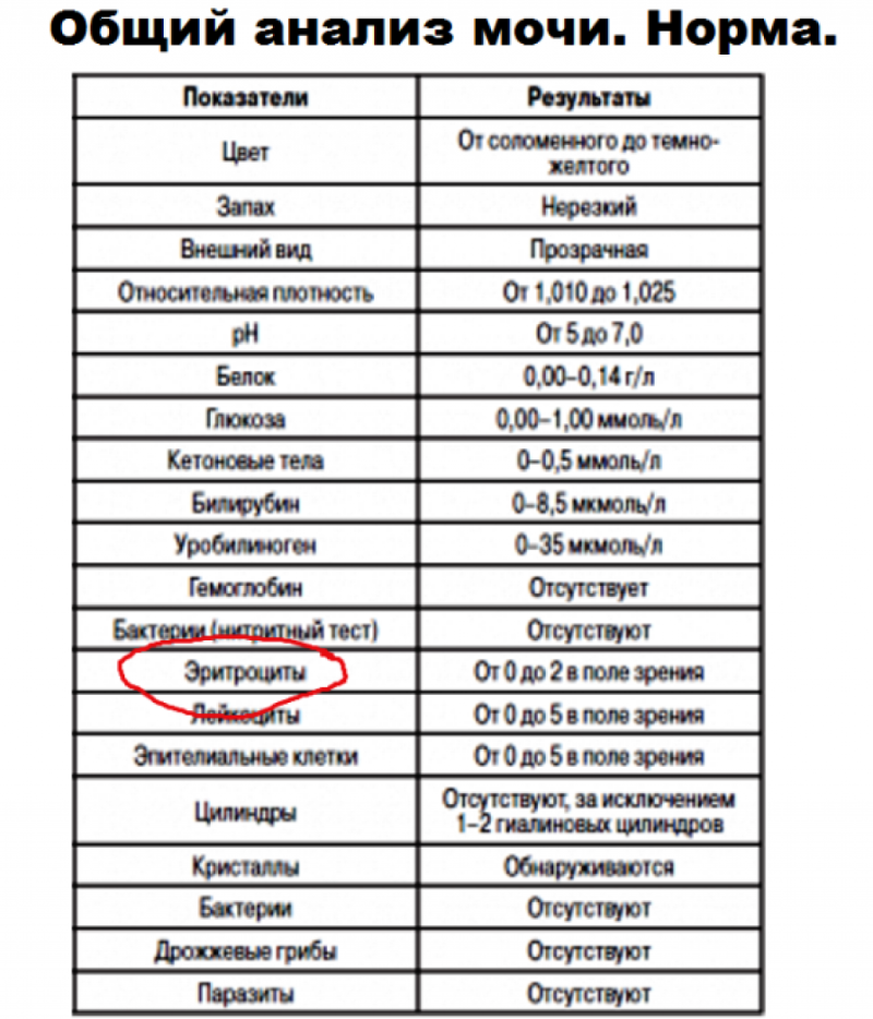 Размер спортивного костюма женского таблица