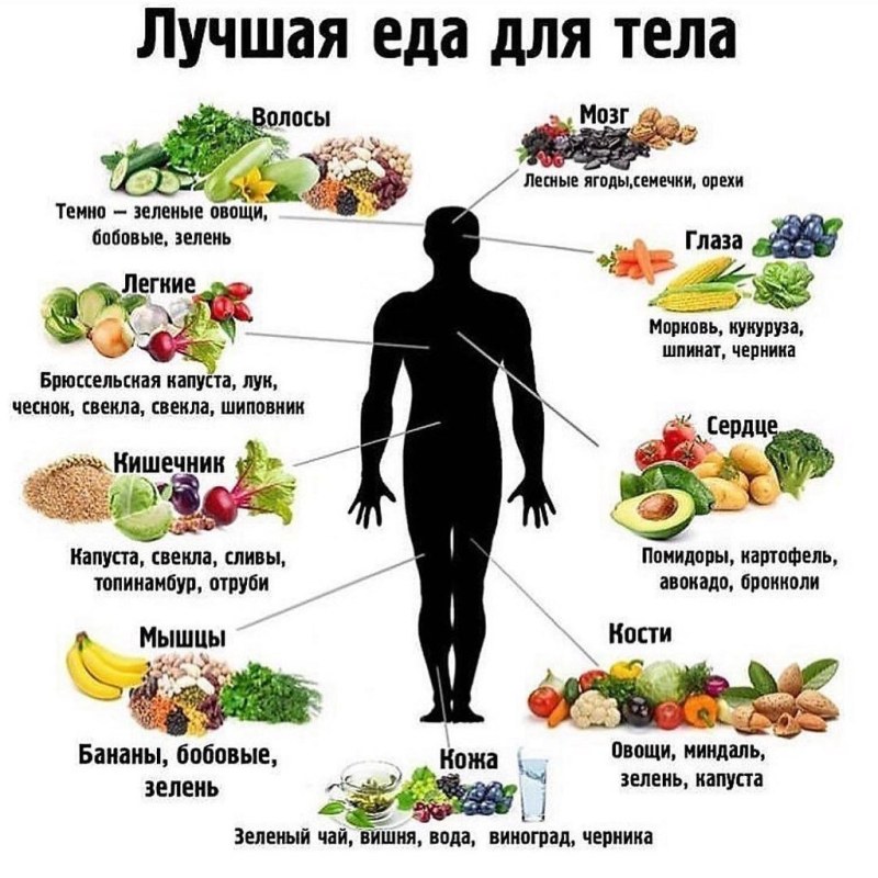 Слив бот