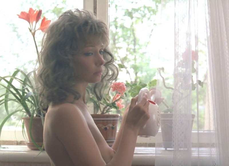 Елена Аржаник город Зеро