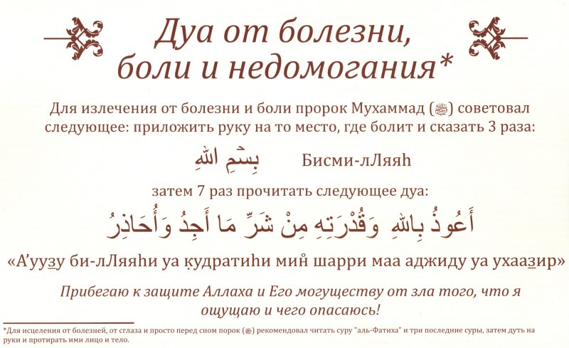 Хоррор новелла зайчик Катя