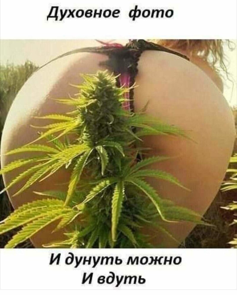 Диана Шурыгина горячие