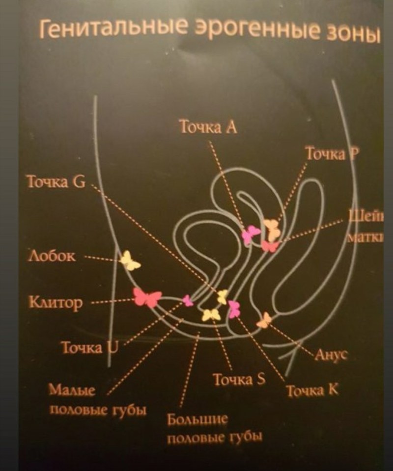 Виды женских трусов
