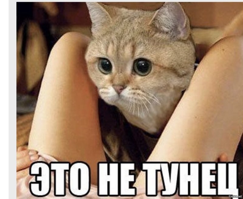 Обои на ТЛ