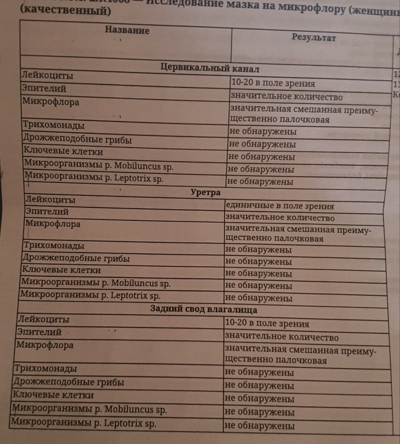 Влагалище пиктограмма