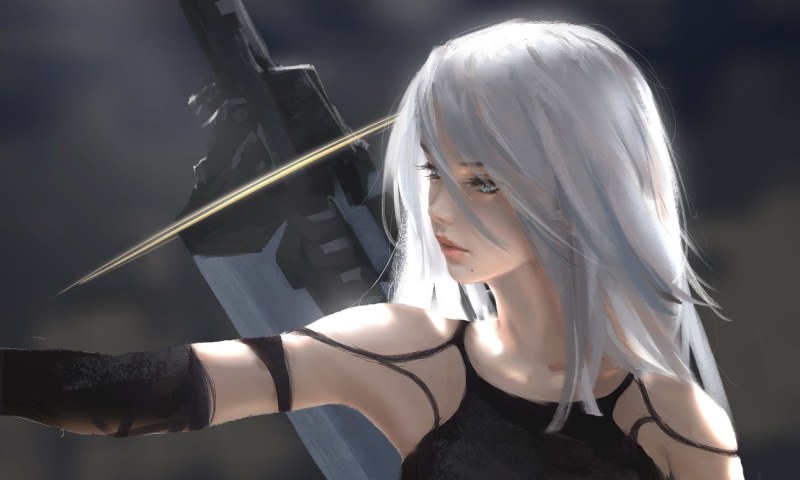 A 2 NIER Automata
