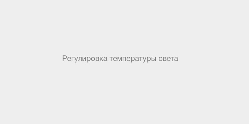 Веласкес портрет Монтаньеса