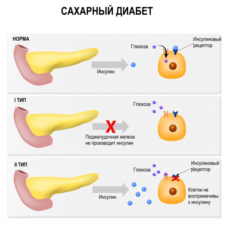 Юлия Савичева фото в купальнике
