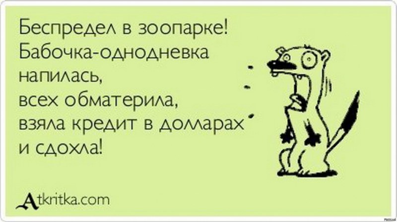 Флауи Цветик