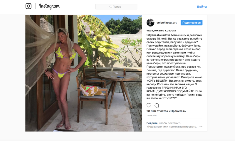 Анастасия Ивлеева сливы